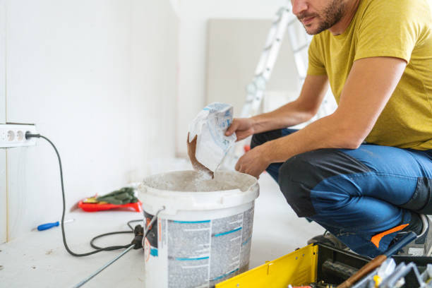 Professional Mold Removal in Martin, SD