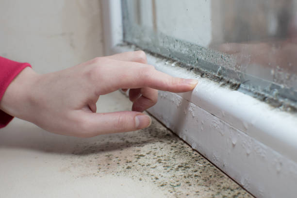 Forensic Mold Investigation in Martin, SD
