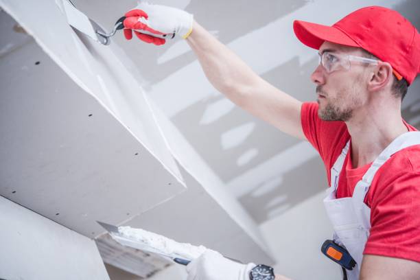 Best Mold Removal for HVAC Installations  in Martin, SD